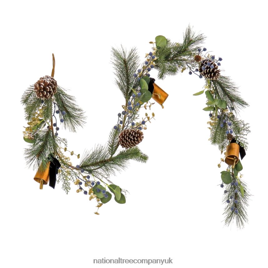 Greenery | National Tree Company 6 ft HGTV Home Collection Swiss Chic Garland F2L4F418